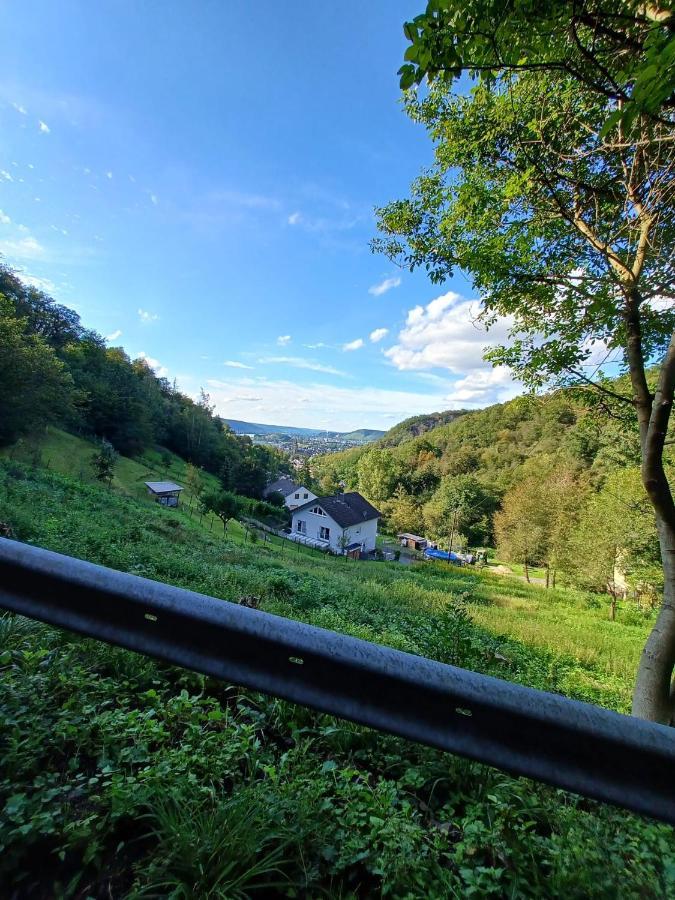 Ferienwohnung Neli Am Rhein Rheinbrohl Eksteriør bilde