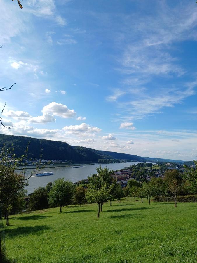 Ferienwohnung Neli Am Rhein Rheinbrohl Eksteriør bilde