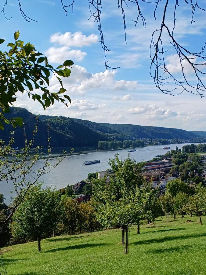 Ferienwohnung Neli Am Rhein Rheinbrohl Eksteriør bilde